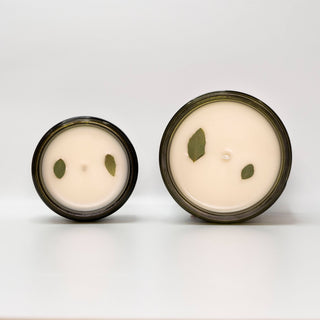 Basil & Amber Queer Candle Co.