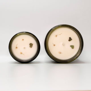 Driftwood & Argan Oil Queer Candle Co.