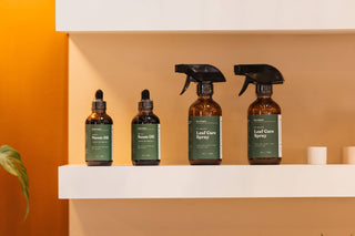 Leaf Care Spray - 8oz l Plant Leaf Cleaner and Shine: 8 oz Spray Bottle