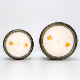 Apricot Nectar Queer Candle Co.