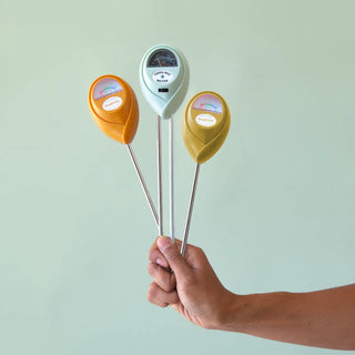 Jungle Club | Moisture Meter