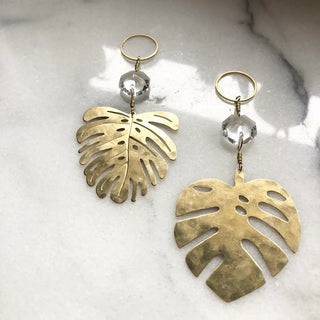 Vida + Luz | Light Catcher | Mini Monstera