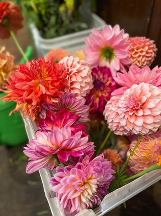 Grower's Bucket - Perfect for DIY Weddings & Events
