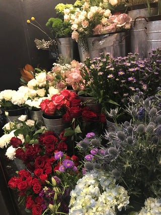 Grower's Bucket - Perfect for DIY Weddings & Events