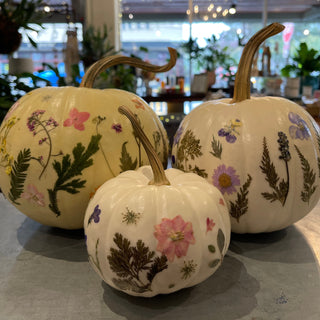 Pressed Flower Pumpkins | Friday October 24th
