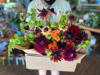 Herban Bloom Designer's Choice Seasonal Arrangement