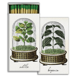 Matches - Cloche Begonia & Nettle