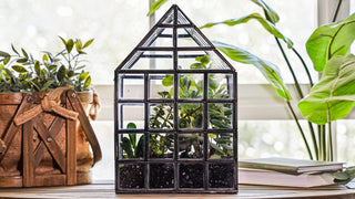Urban Born Lattice House Terrarium: Glass Succulent Planter