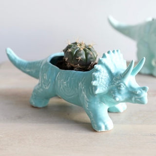 Lisa Angel | Dinosaur Planters