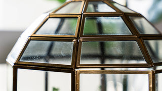 Urban Born Large Birdcage Terrarium: Glass Indoor Display