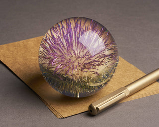 Open Thistle Botanical Resin Paperweight BLOOMIST
