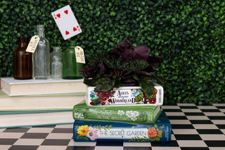 Stacked Books Planter, Alice/Wind in the Willows/The Secret Garden
