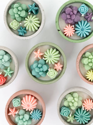 Succulent Candle - Concrete Plant Candle 