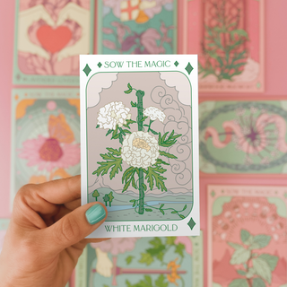 White Marigold Tarot Seed Packet