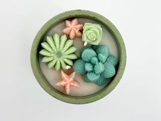 Succulent Candle - Concrete Plant Candle 