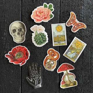 Vintage Magic Mushroom Waterproof Sticker