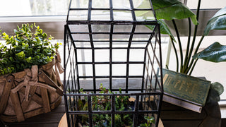 Urban Born Lattice House Terrarium: Glass Succulent Planter
