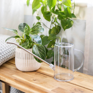 Best Watering Can | Houseplant Care + Indoor Gardens