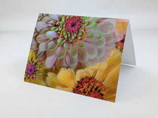 ZINNIAS Melissa Treharne Botanical Card