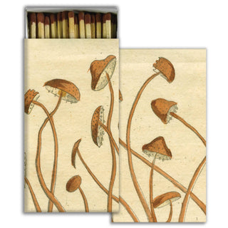 Match Box - Crossing Mushrooms