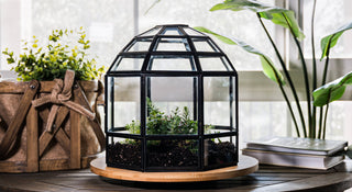 Urban Born Large Birdcage Terrarium: Glass Indoor Display
