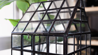 Urban Born Lattice House Terrarium: Glass Succulent Planter