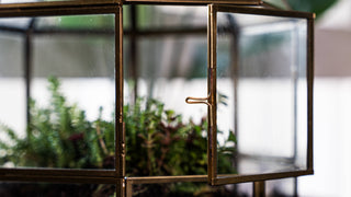 Urban Born Large Birdcage Terrarium: Glass Indoor Display