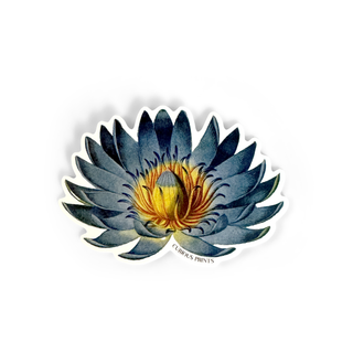 Vintage Botanical Blue Lotus Water Lily Waterproof Sticker