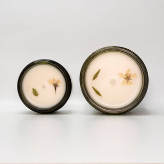 Apple Tree Queer Candle Co.