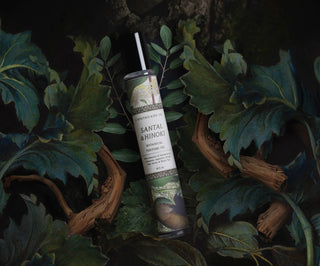 BOTANICA | Santal + Hinoki | Perfume Oil