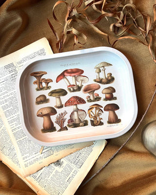 Small Metal Tan Mushroom Ritual Tray / Vintage Illustration