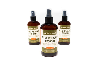 Ready-To-Use Tillandsia Air Plant Fertilizer