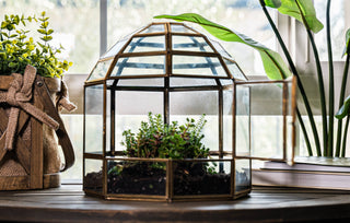 Urban Born Large Birdcage Terrarium: Glass Indoor Display