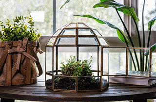 Urban Born Large Birdcage Terrarium: Glass Indoor Display