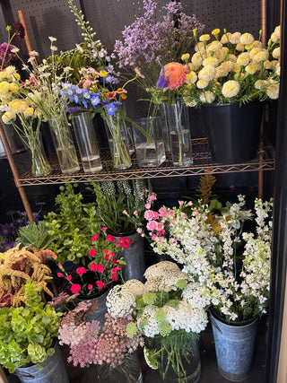 Summer Celebration Bubbles & Blooms | Friday August 21st