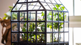 Urban Born Lattice House Terrarium: Glass Succulent Planter