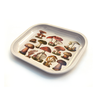 Small Metal Tan Mushroom Ritual Tray / Vintage Illustration