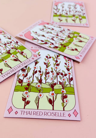 Thai Red Roselle Hibiscus Tarot Garden + Gift Seed Packet