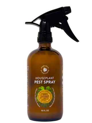 Natural + Non-Toxic Houseplant Pest Spray 16 oz