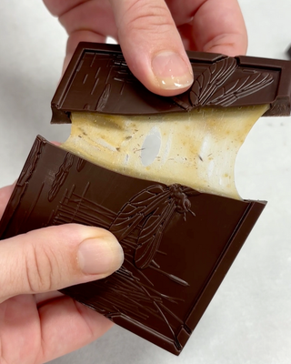 Woodland Collection Fennel Pollen Caramel