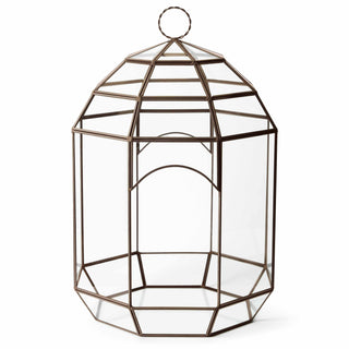 New Year, New Growth Terrarium Workshop | Friday January 30th