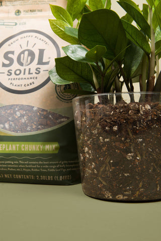 Soil (1Gal) Houseplant Chunky Mix (Aroid/Tropical Mix)