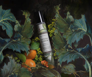 BOTANICA | Satsuma Blossom | Perfume Oil L'APOTHECAIRE