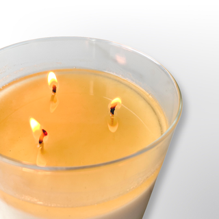 White Birch Soy Candle | Triple Wick Tumbler | XL- 17 oz. FARM KITCHEN CANDLE