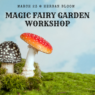 Fairy Garden Workshop | Saturday March 23rd