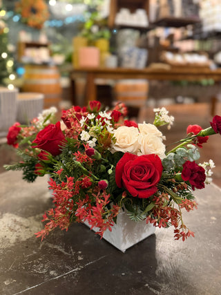 Seasonal Splendor | Holiday Magic