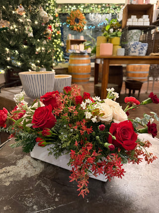 Seasonal Splendor | Holiday Magic