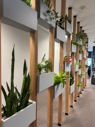 Commercial Plant Care