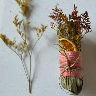 EUCALYPTUS SMOKE CLEANSING STICK TOPANGA WINDOW