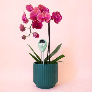 3-in-1 Moisture Meter | Lagoon Jungle Club